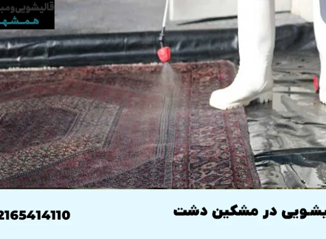 قالیشویی در مشکین دشت